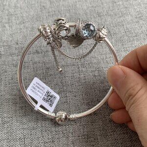 Silver Pandora Bracelet